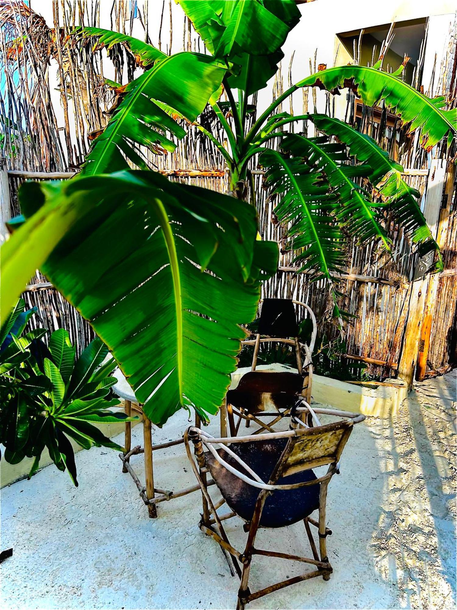 Zanzi Soul Luxury Boutique Hotel Jambiani  Esterno foto